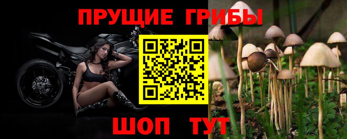 Коломна  Псилоцибиновые грибы прущие грибы  Вход с VPN  Псилоцибиновые грибы MAGIC MUSHROOMS 