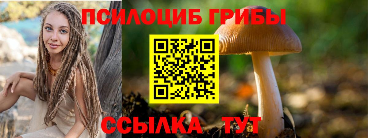 Галлюциногенные грибы Psilocybe Коломна